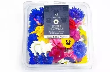 Yukon: Frische und Nachhaltigkeit in der globalen Spezialitätenlieferung