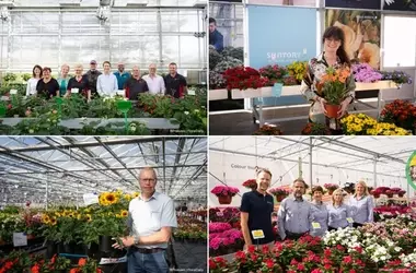 Niederländische Frühlingsschau für Zierpflanzen: Innovationen und Kooperationen