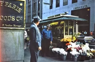 San Franciscos Blumenstände: Eine Renaissance der urbanen Floristik und des Gemeinschaftslebens