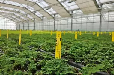 VanDerEng führt Tagespreise für Kunststoffetiketten ein