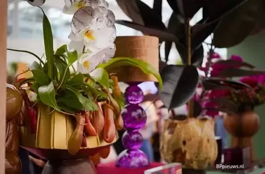 Gartentrends 2027: Entwirrung einer komplexen Welt