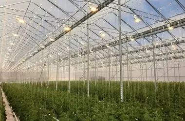 P.L. Light Systems: Vier Jahrzehnte Innovation in der Gartenbaubeleuchtung