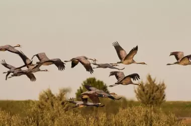 Cambios en la Red Natura 2000 de Extremadura desatan controversia y acciones legales
