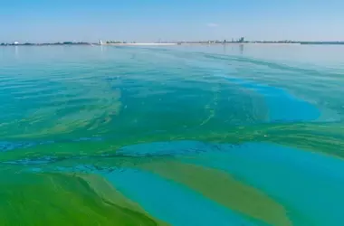 La contaminación difusa en la cuenca del Segura: un desafío crucial para la planificación hidrológica