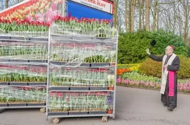 Die Niederlande ehren 40 Jahre Blumenlieferungen zum Vatikanischen Osterfest