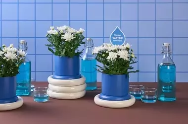 SV.CO: Nachhaltigkeit durch innovatives Wassermanagement