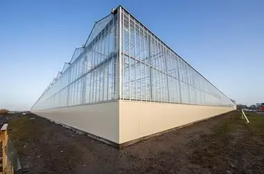 Die Erhöhung der Gewächshausstrukturen: Ein strategischer Schritt für verbesserte Erträge und Nachhaltigkeit