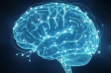 Brain Scans Uncover Neural Signatures of Dark Personality Traits