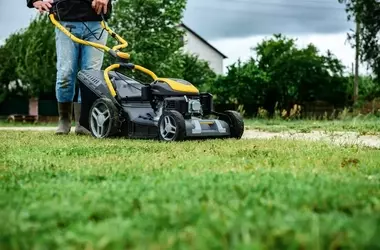 Rasenpflege bei Frost: Eine umfassende Anleitung