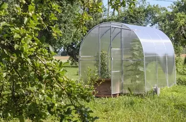 Gewächshausreinigung durch Schwefelbehandlung: Ein Leitfaden für Gartenliebhaber