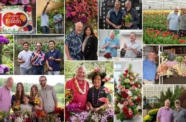 J Schwanke's "Life in Bloom" feiert 100 Episoden und neue Staffel