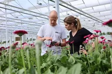 Integrierte Schädlingsbekämpfung: Die Bedeutung präziser Überwachung