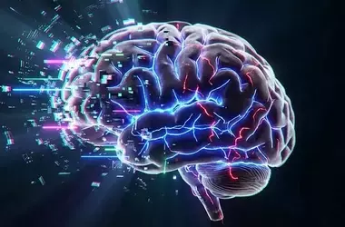 Brain Scans Reveal How Fragmented Video Content Impairs Memory and Alters Neural Pathways