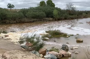 Ecologistas alertan: Intereses Agrícolas y Mineros Amenazan la Recuperación del Río Guadiamar en Doñana
