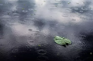 Inestabilidad Climática en España: Lluvias Fuertes, Tormentas y Descenso Térmico el 8 de Abril