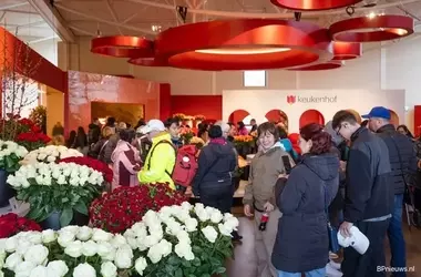 Keukenhof Rosenschau 2026: Ein Fest der Blütenpracht und Exzellenz