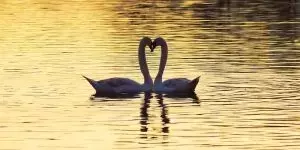 Healing Attachment Styles: A Guide to Secure Relationships