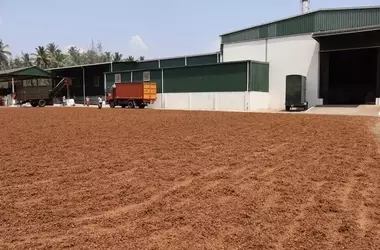 Indiens Kokosfasersubstrat-Nachfrage steigt stark an, Biogrow Protec spielt eine Schlüsselrolle