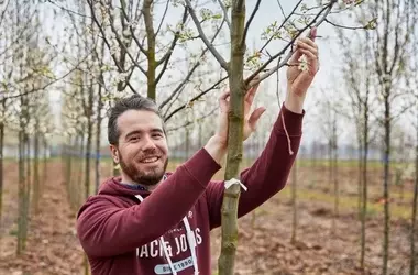 Wyevale Nurseries bietet kostenlose Beratung zur Steigerung der Artenvielfalt durch Vogelfreundliche Heckenpflanzung an