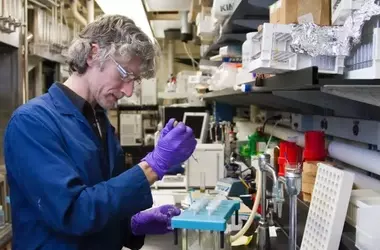 BofA Adjusts Pfizer's Price Target Amidst Legal and Clinical Developments