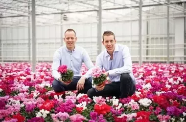 Bergcamp: Wachstum, Nachhaltigkeit und Mitarbeiterengagement im Zierpflanzenbau