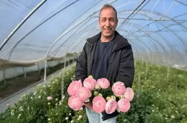 Der Frühling im Auktionssaal: Eine Symphonie aus Farben und Nachfrage