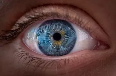 IDEAYA's Eye Cancer Therapy Outperforms Standard Treatment, Boosting Stock