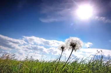 Pronóstico del Tiempo: España Experimentará Aumento de Temperaturas y Vientos Fuertes