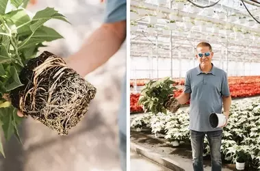 Neosho Gardens: Engagement für präzisen Pflanzenanbau und nachhaltige Kultivierung