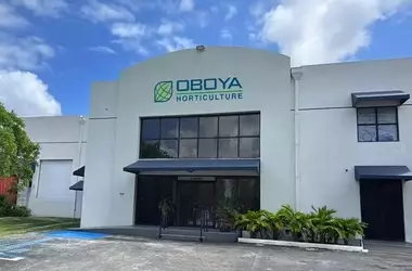 Oboya erweitert seine Präsenz in den USA mit neuem Standort in Florida