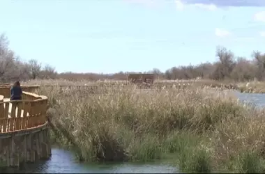 Doñana: Un Plan de Restauración Transforma las Marismas y Protege la Biodiversidad