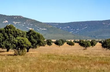 Inversión millonaria para fortalecer la conservación del Parque Nacional de Cabañeros