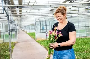 Die Faszination der Nerine: Eine blühende Familienleidenschaft