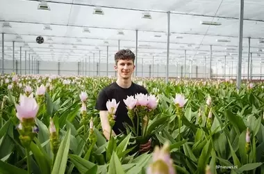 Villa Curcuma: Meister des Kurkuma-Anbaus im Westland