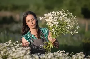 Britische Blumenwoche 2026: Ein Fest der nachhaltigen Blumenkultur und weiblichen Unternehmertums