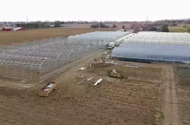 Harnois Gewächshäuser: Innovative Anbaulösungen für Colorado