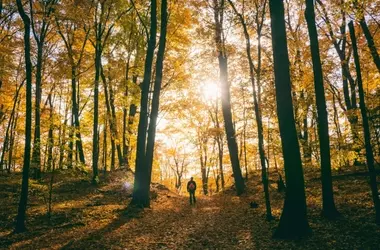 Nature's Embrace: A Sanctuary for Mind, Body, and Spirit