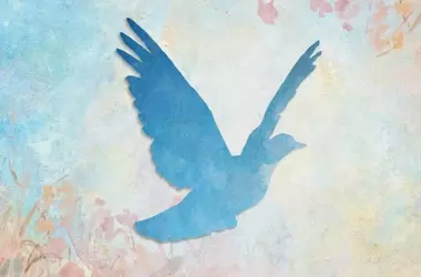 Mindfulness: The Cornerstone of a Functioning Democracy