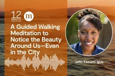 A Mindful Urban Journey: Discovering Beauty in the City
