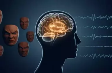 Brainwave Patterns Explain Emotional Vulnerability in Borderline Traits