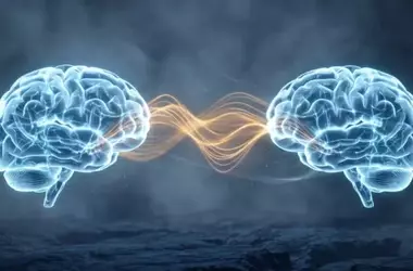 Brain Scans Uncover Unique Connectivity in Individuals with Autistic Traits