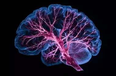 Metabolic Dysregulation and Cognitive Impairment in Bipolar Disorder