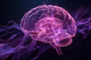 Brain Histamine System's Role in Mental Health Disorders Unveiled