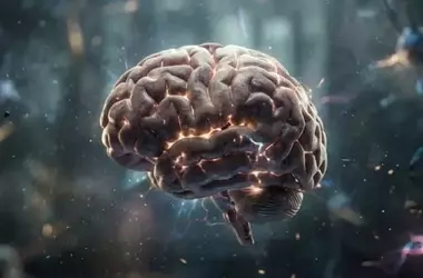 Brain Development Patterns Predict ADHD Symptom Trajectories