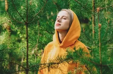 Does the Aroma of Pine Enhance Cognitive Abilities?