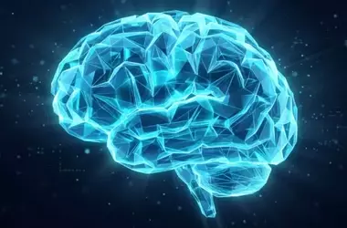 Reading Shapes How the Brain Processes Spoken Language