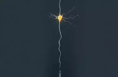 Advanced Neuropixels Opto Probe Revolutionizes Brain Data Acquisition