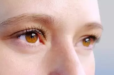 The Brain's Reliance on Whole Faces, Not Just Eyes, for Emotion Recognition