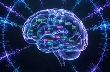 Uncovering the Brain's Rapid Processing of Multi-Digit Number Length
