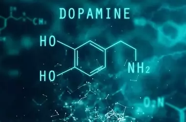 Social Support Fuels Courage: How Dopamine Rewires the Brain for Risk-Taking